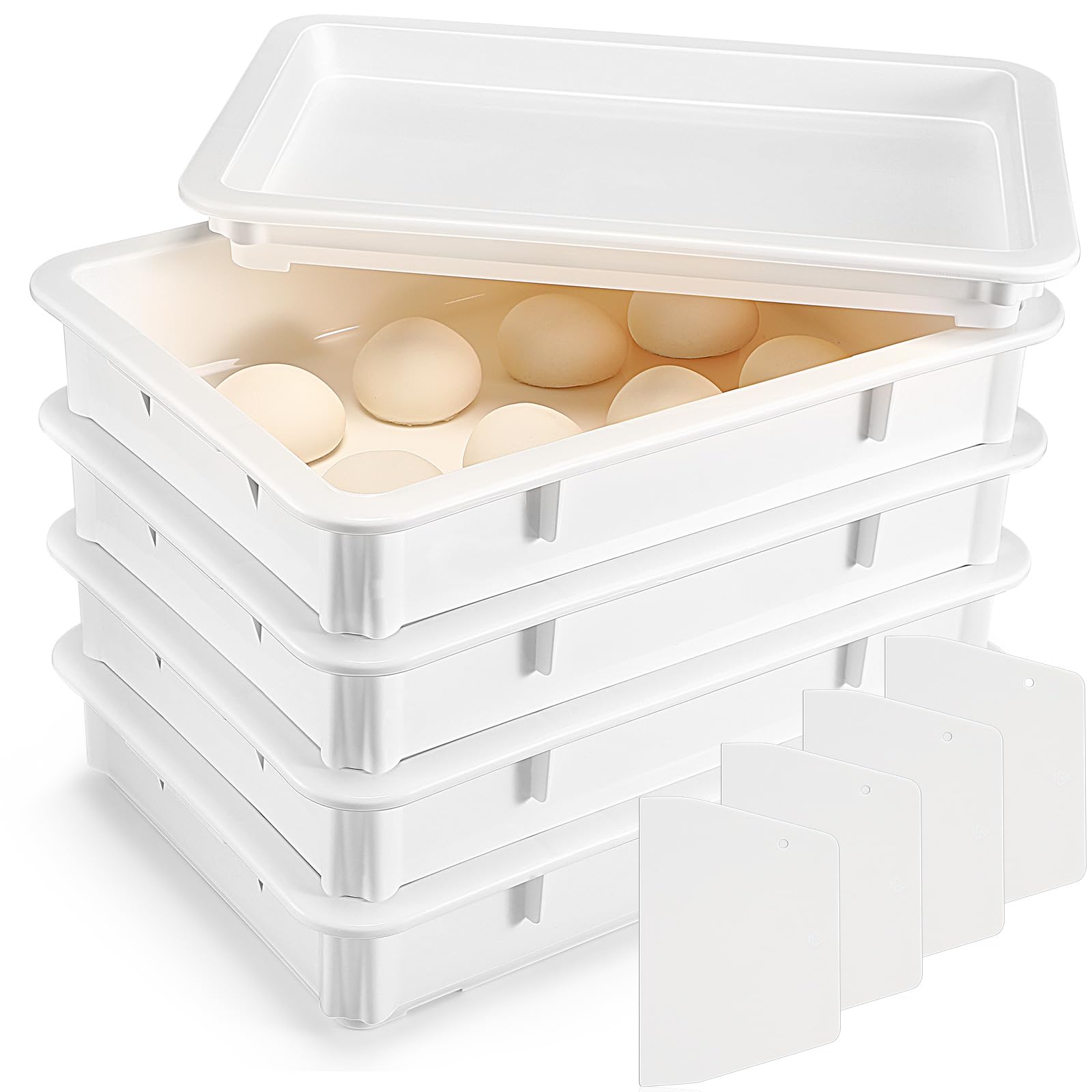 صندوق تخمير العجين